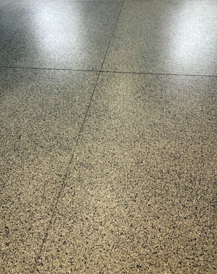 Tan and gray flake epoxy garage floor
